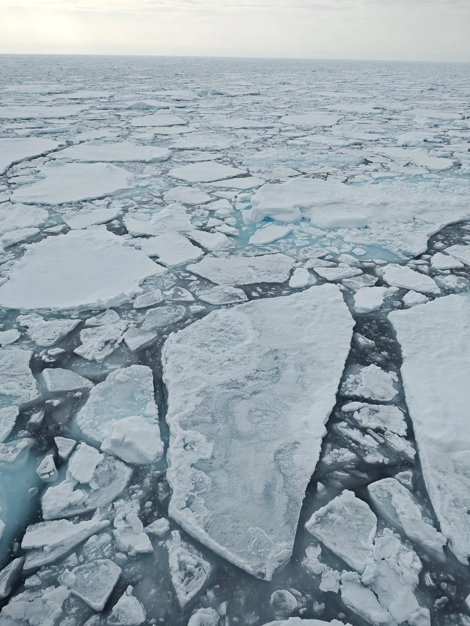 North Pole expedition