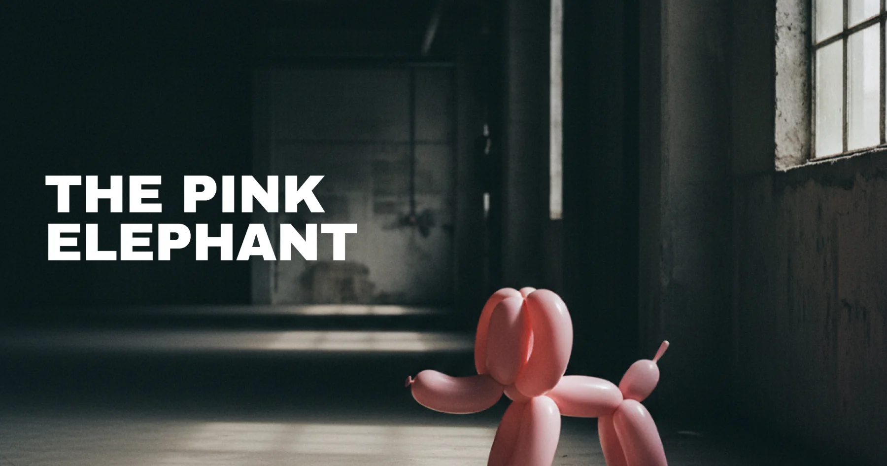 The Pink Elephant cover