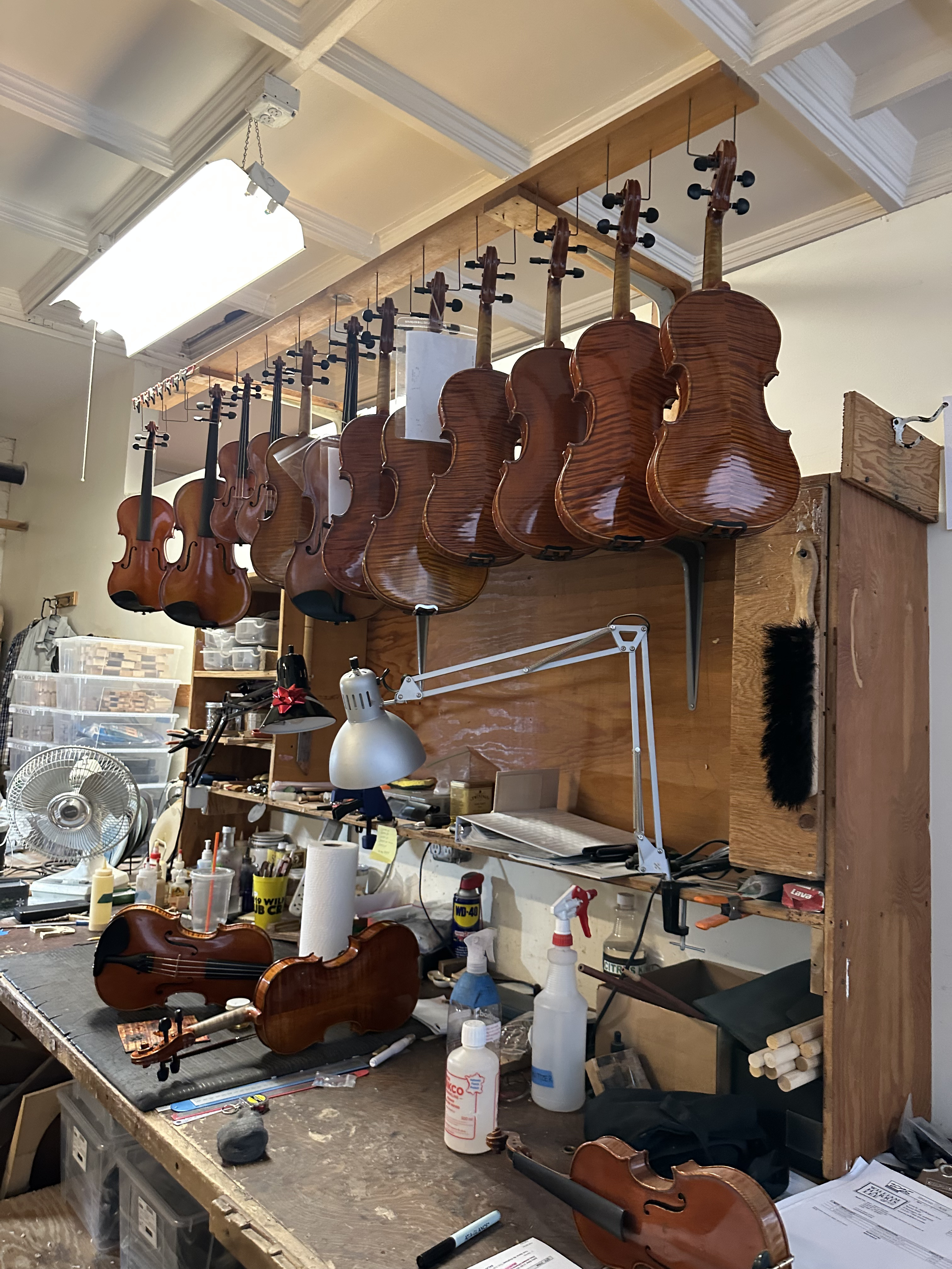 Custom Swarovski violin detail