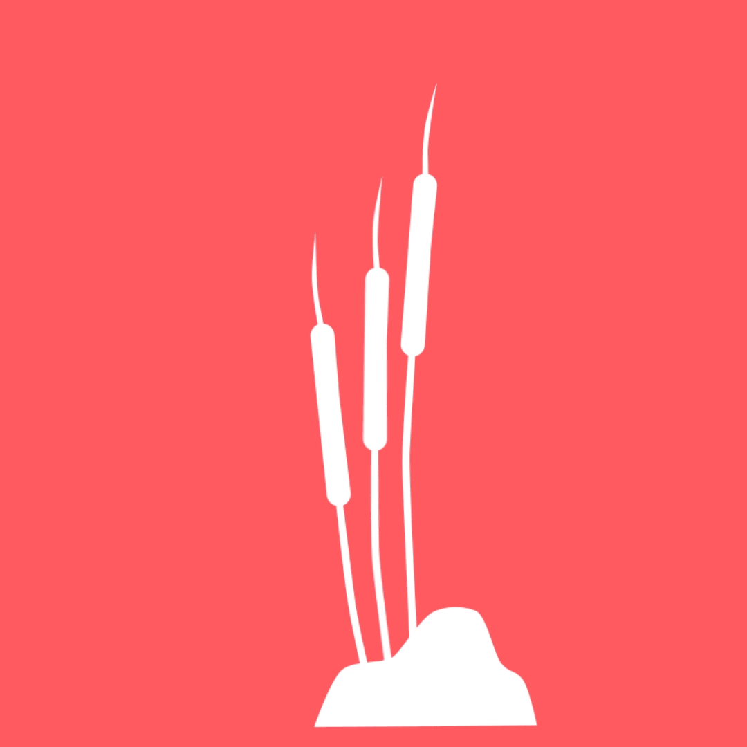Cattails microanimation